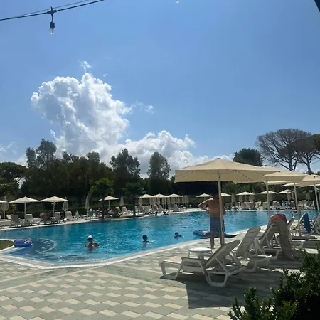 Amalia Perla دراس