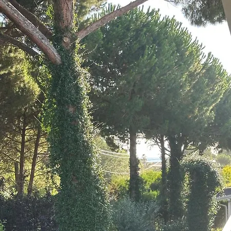 Villa Amalia Perla *