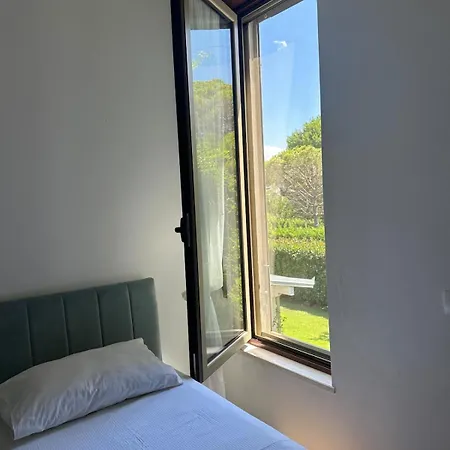 Amalia Perla * دراس