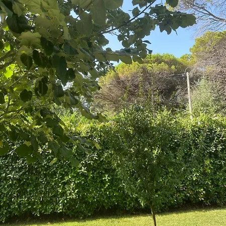 Amalia Perla فيلة دراس