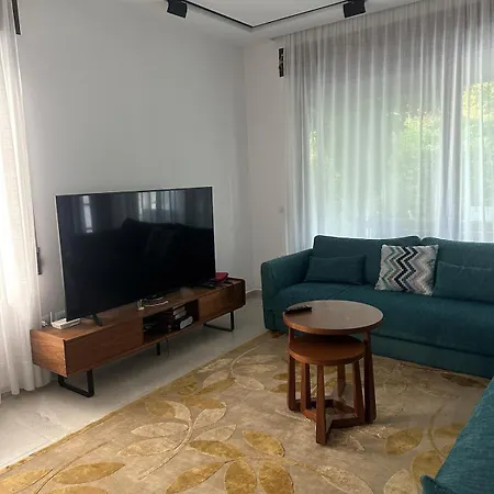 Amalia Perla دراس