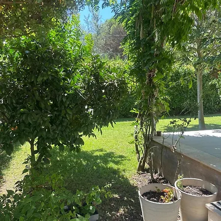 Amalia Perla فيلة