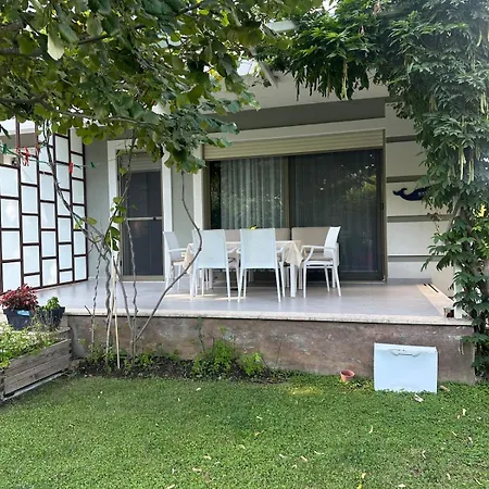 Amalia Perla فيلة *