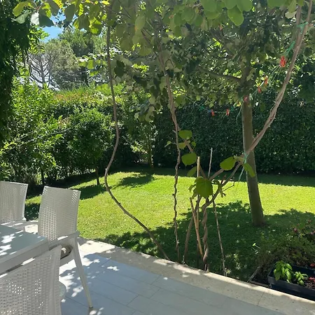 Amalia Perla فيلة