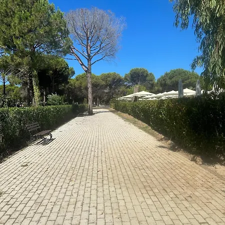 Amalia Perla دراس