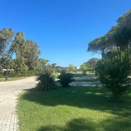 Amalia Perla دراس