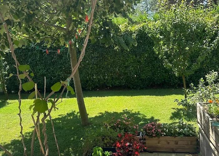 Amalia Perla * Draç