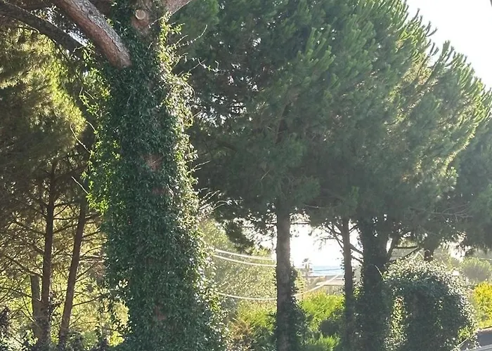 Villa Amalia Perla *