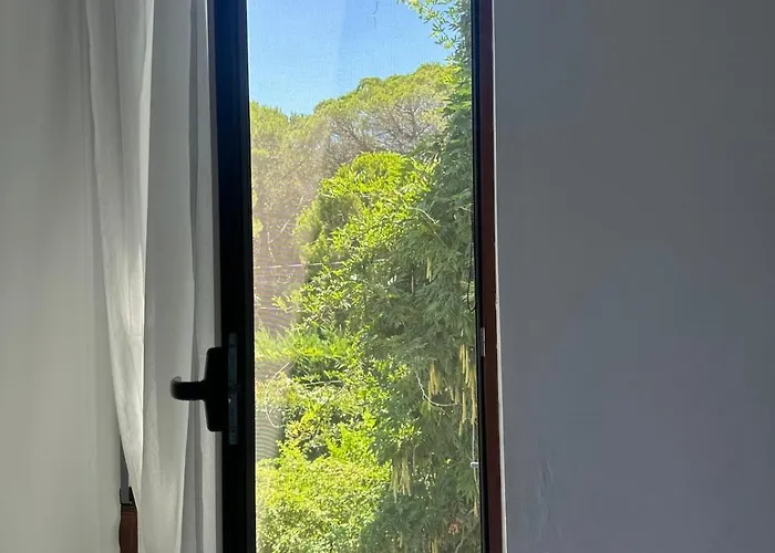 Amalia Perla Villa Draç